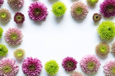 Beyaz arkaplanda çiçek çerçevesi