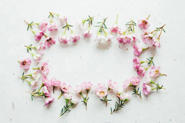 Moldura de flores rosa — Fotografia de Stock
