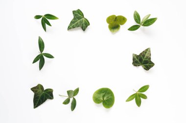 yeşil yaprak çerçeve