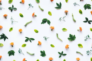 Beyaz arkaplanda çiçek aranjmanı