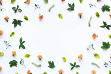 Beyaz arkaplanda çiçek çerçevesi