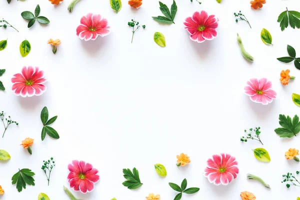 renkli çerçeve çiçek