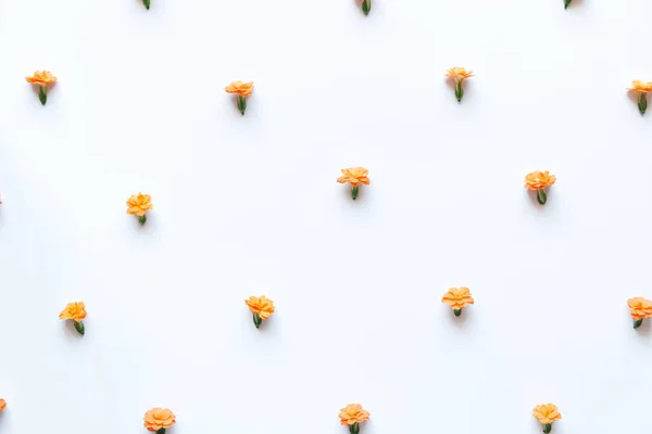 Wzór kwiatów pomarańczy — Zdjęcie stockowe