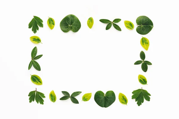 Green Leaves Frame On White Background — Stock Photo, Image