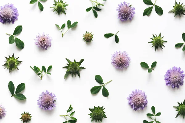Floral Arrangement On White Background — Stock Photo, Image