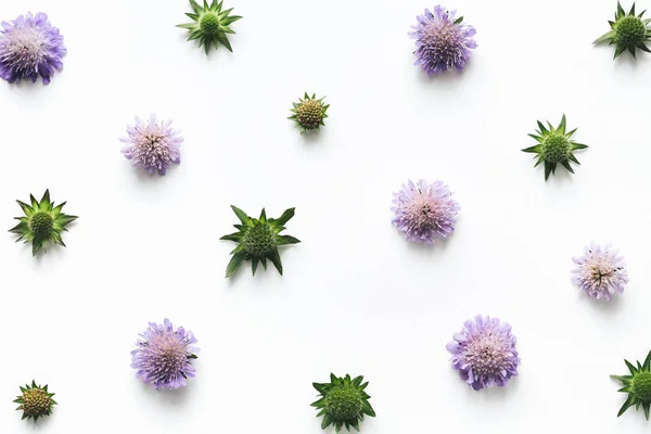 Beyaz arkaplanda çiçek aranjmanı — Stok fotoğraf