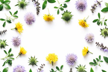 Çayır çiçekli çerçeve