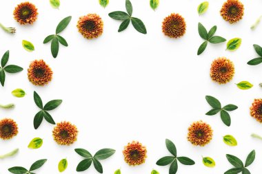 renkli çerçeve çiçek