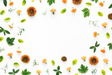 renkli çerçeve çiçek