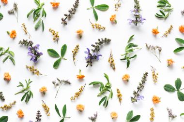 Beyaz arkaplanda çiçek aranjmanı