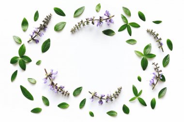 Beyaz arkaplanda çiçek çerçevesi