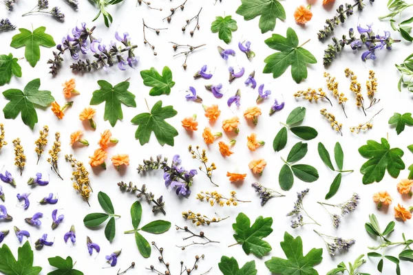 Floral Arrangement On White Background — Stock Photo, Image