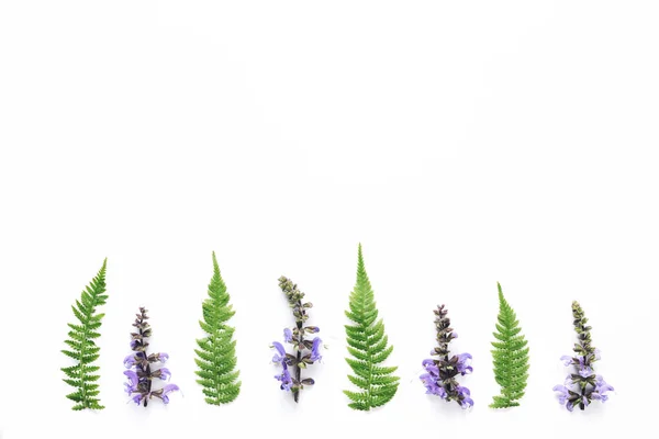 Wildflowers And Fern Leaves Arrangment On White Background — Stock Photo, Image