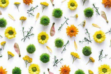 Beyaz arka plan üzerinde renkli Çiçek Aranjmanlar