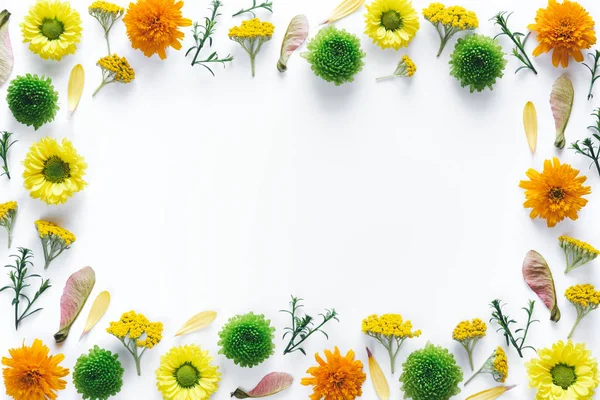 Beyaz arka plan üzerinde renkli çiçekli çerçeve