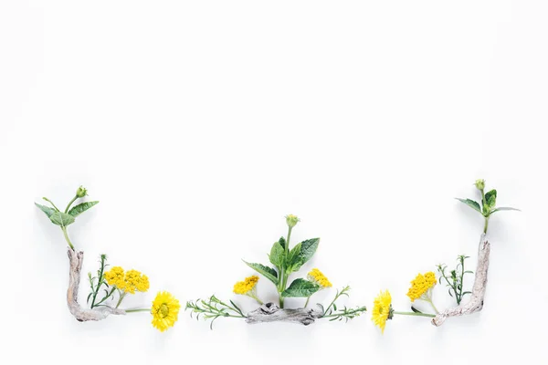 Border With Yellow Flowers And Leaves — Stock Photo, Image