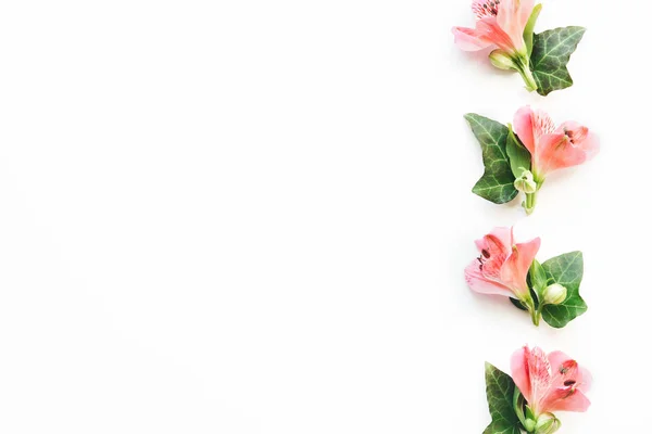 Yumuşak çiçek ile sınır