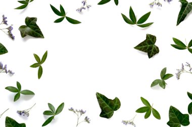 Yeşil yapraklı çerçeve