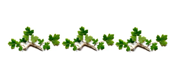 Bahar Aranjman Beyaz Zemin Üzerine Yeşil Yaprakları Ile Seamless Modeli — Stok fotoğraf