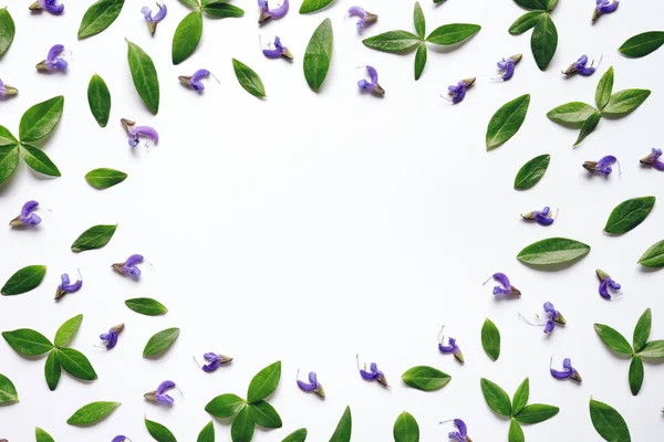 Frame Purple Flowers Green Leaves White Background Copy Space — Stock Photo, Image