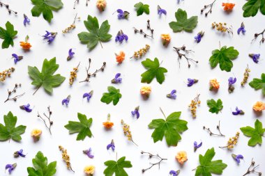 desen renkli çiçekler