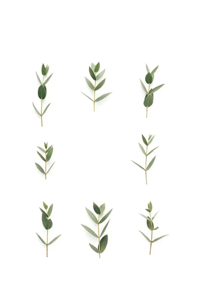 Marco con hojas verdes sobre fondo blanco —  Fotos de Stock