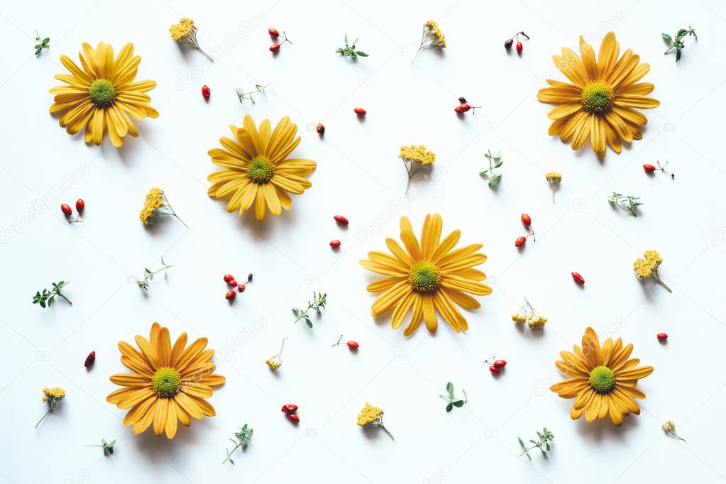 Pattern With Yellow Flowers