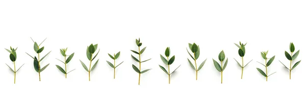 Patrón sin costuras con hojas verdes —  Fotos de Stock