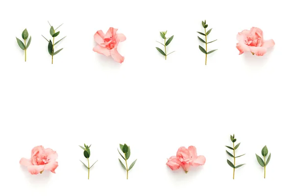 Padrão sem costura com rosa suave Azalea flores e folhas verdes — Fotografia de Stock
