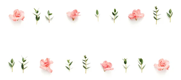 Fronteira com flores cor-de-rosa macias de Azalea e folhas verdes no branco B — Fotografia de Stock