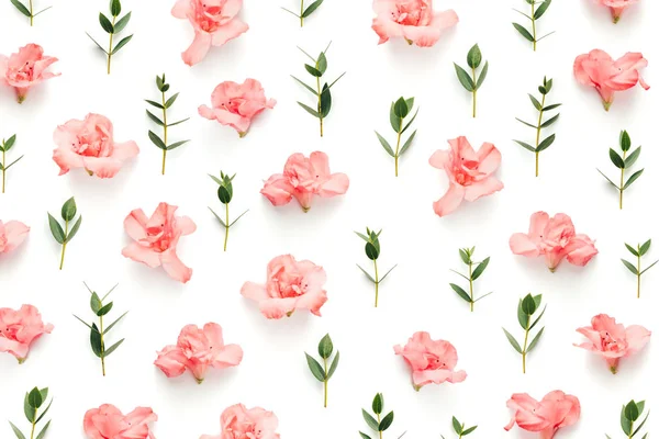 Padrão com flores cor de rosa macio Azalea e folhas verdes em branco — Fotografia de Stock