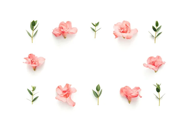 Quadro com flores cor-de-rosa macias de Azalea e folhas verdes no branco Ba — Fotografia de Stock