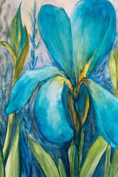 Blauwe Iris Aquarel — Stockfoto