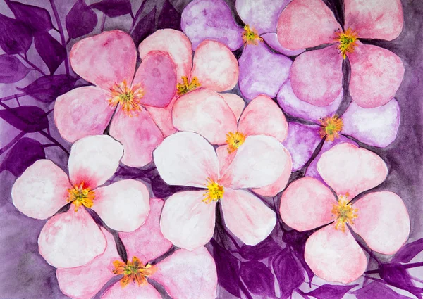 Wzór Różowe Kwiaty Akwarela — Zdjęcie stockowe
