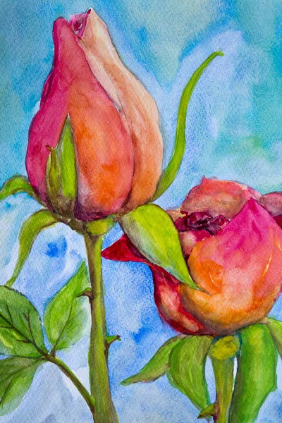 Watercolor painting of pink roses.