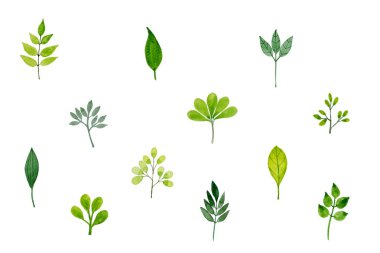 Yeşil desenle suluboya içinde bırakır