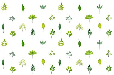 beyaz zemin üzerine suluboya yaprakları