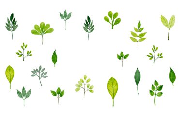 Yeşil yapraklı çerçeve