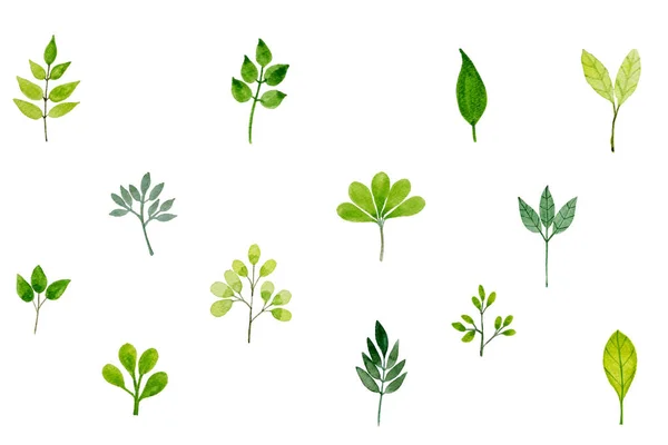 Patroon met groene bladeren In aquarel — Stockfoto