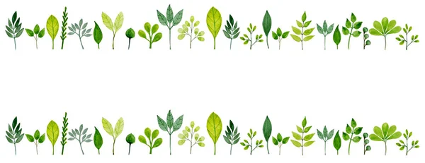 Fundo com folhas verdes em aquarela — Fotografia de Stock
