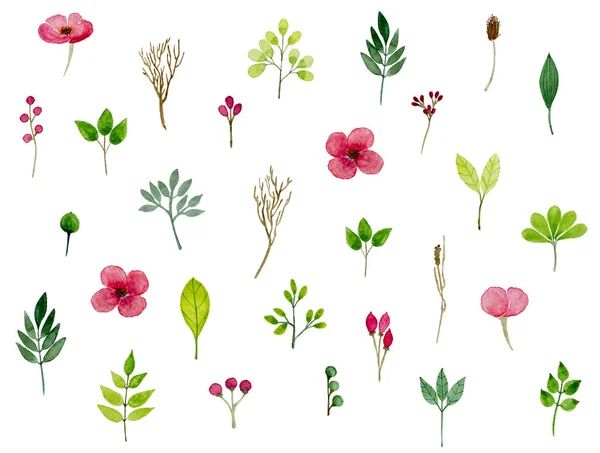 Akvarelu vzorek s jarní květiny a listy — Stock fotografie
