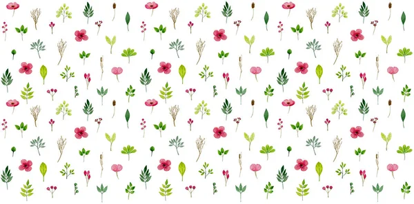 Vzorek se zelenými listy a květy v akvarel — Stock fotografie