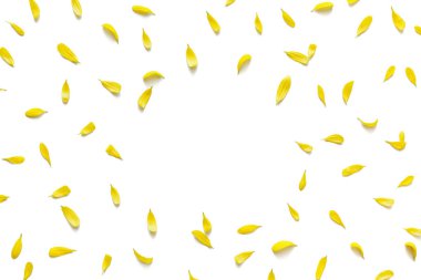 Beyaz arka planda sarı yapraklı çiçek aranjmanı. Yukarıdan bak. Düz yatıyordu. Boşluğu kopyala.