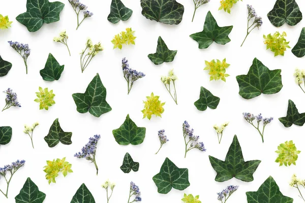 Samenstelling Gemaakt Van Bloemen Bladeren Witte Achtergrond Plat Gelegd Uitzicht — Stockfoto