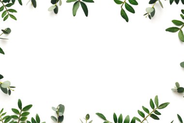 Beyaz arkaplanda yeşil yapraklardan yapılmış bir çerçeve. Yukarıdan bak. Uzayı kopyala Düz yatıyordu. Tasarım ögesi.