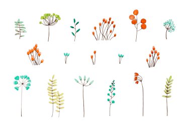 Beyaz arka planda suluboya bitkilerin toplanması. Tasarım elemanı. Kes şunu..