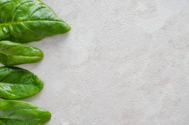 Taze yeşil ıspanak yaprakları, sağlıklı yiyecekler, kopyalama alanı.