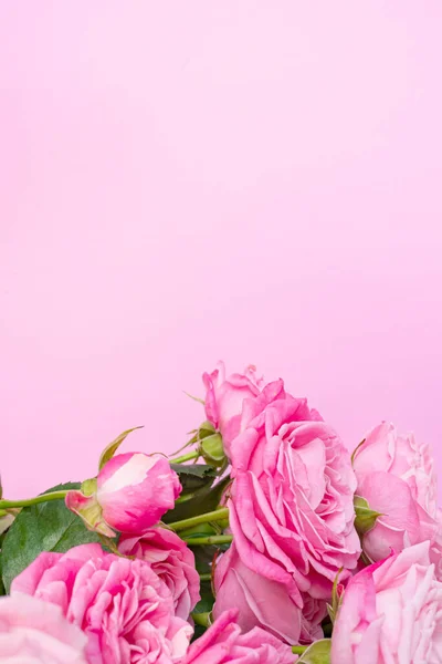 Rosas Rosadas Sobre Delicado Fondo Rosa Concepto Amor Boda Copiar —  Fotos de Stock