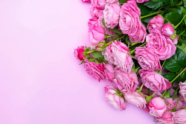 Rosas Rosadas Sobre Delicado Fondo Rosa Concepto Amor Boda Copiar —  Fotos de Stock