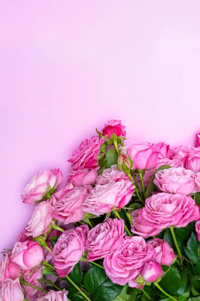 Rosas Rosadas Sobre Delicado Fondo Rosa Concepto Amor Boda Copiar —  Fotos de Stock